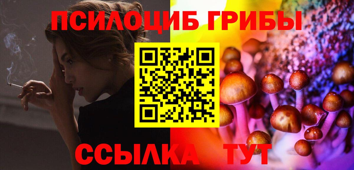 Псилоцибиновые грибы прущие грибы  Вход с VPN  Елабуга  наркота  Псилоцибиновые грибы Psilocybine cubensis 